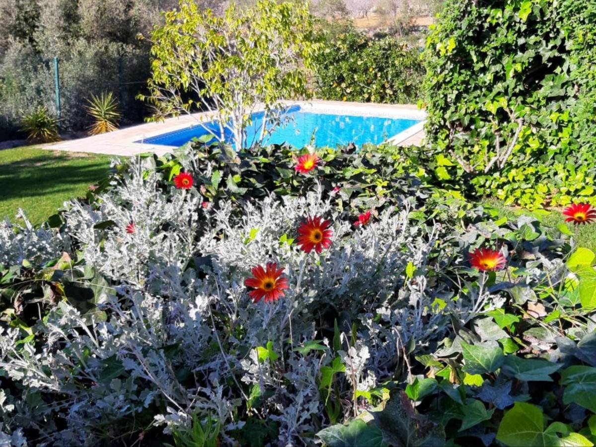 Villa Tranberg Suites Ferreiras Exterior photo